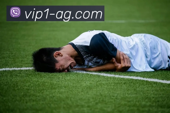 AG娱乐全站App
